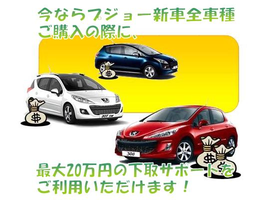 スプリングボーナス実施中